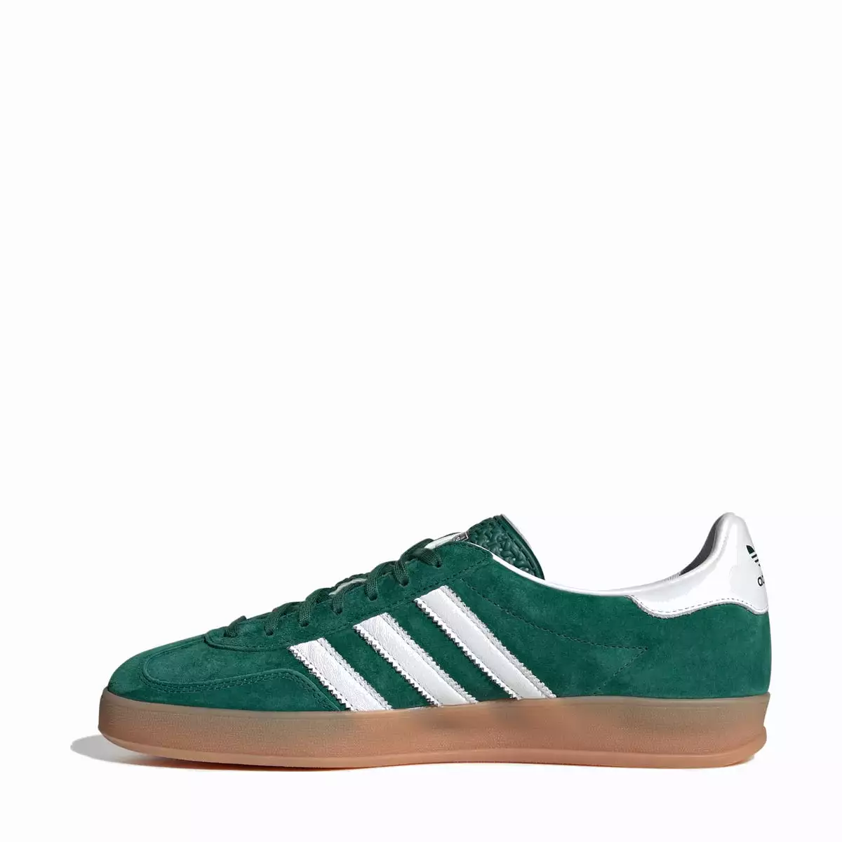 Gazelle Indoor