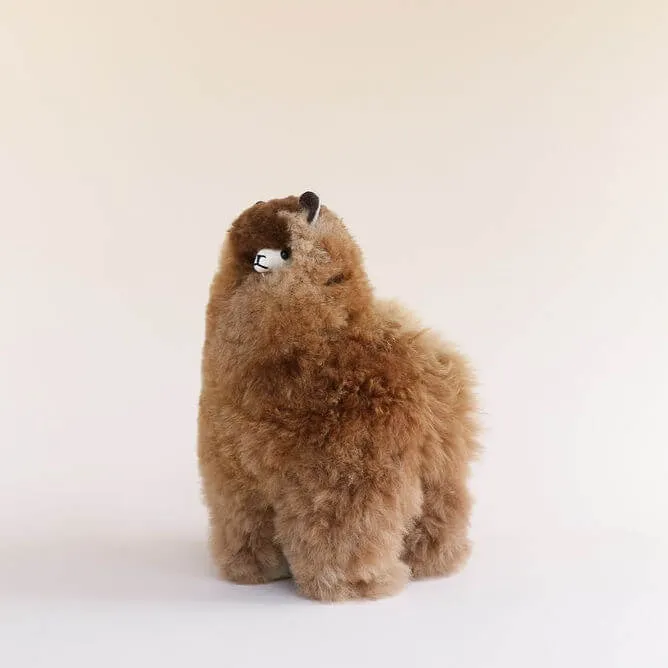 Toy Alpaca - Huacaya - Medium